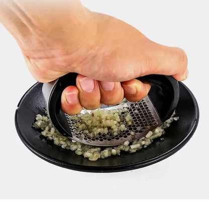 Stainless Steel Garlic Crusher